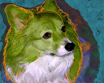 corgi