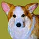 corgi artwork