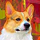corgi portrait