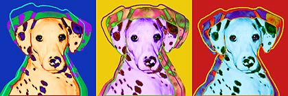 dalmatian art