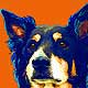 dingo print