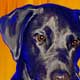 dog art