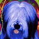 bearded collie art