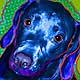 dog art