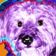 dog art
