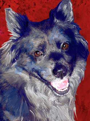 dog portrait