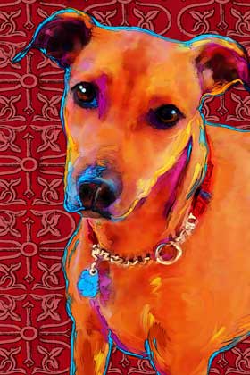 dog portrait