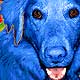 pop art dog