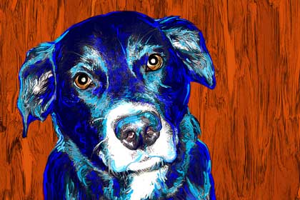 dog artwork