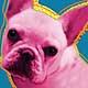 french bulldog art