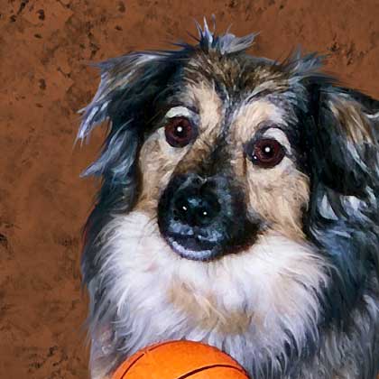 dog portrait