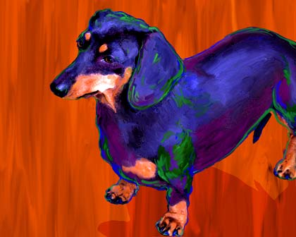 dachshund art