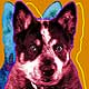 blue heeler art portrait