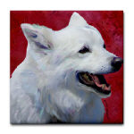 american eskimo dog