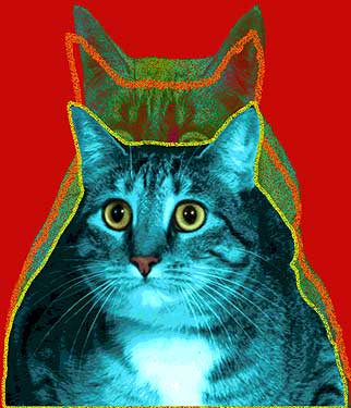 tabby cat art