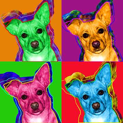 dog art