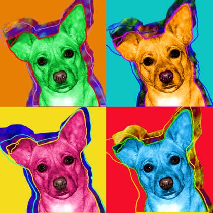 dog art