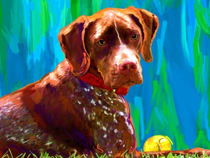 French pointer art