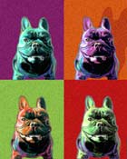 french bulldog art