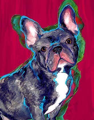 french bulldog art