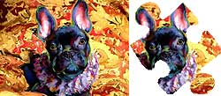 french bulldog puzzle