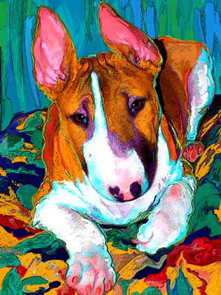 bull terrier art