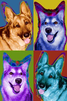 german shepherd art