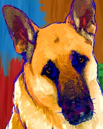 german shepherd