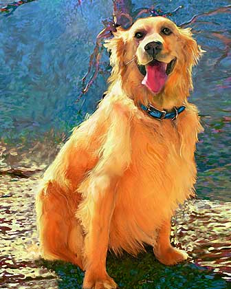 golden retriever art