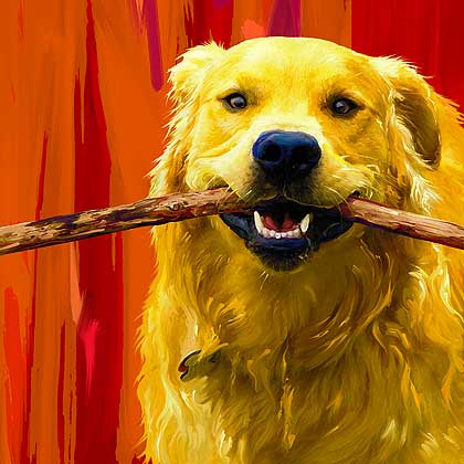 golden retriever art