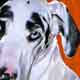 great dane