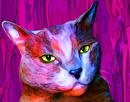 cat painting