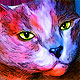 cat portrait