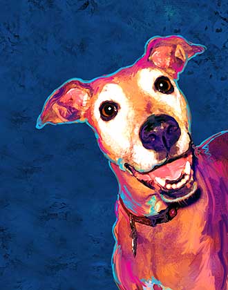 grey hound art
