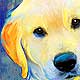 pet portrait