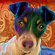 bevo custom portrait