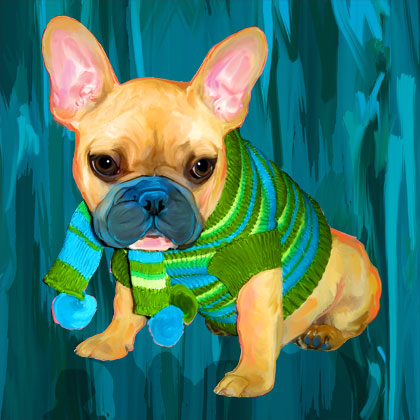 french bulldog portrait