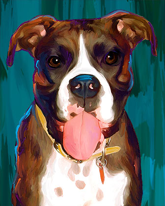 boxer portrait