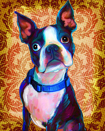 boston terrier painting