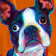 boston terrier portrait