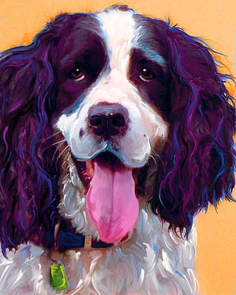 Springer Spaniel Art