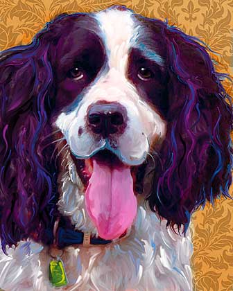 Springer Spaniel Art