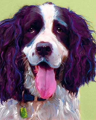 Springer Spaniel Art