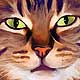 cat portrait