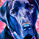 lab art portrait