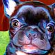 custompetportrait