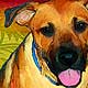 dog portrait