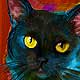 cat portrait