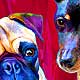 pet portraits