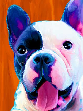 boston terrier art